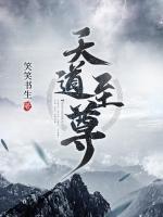 叶天张锋小说阅读