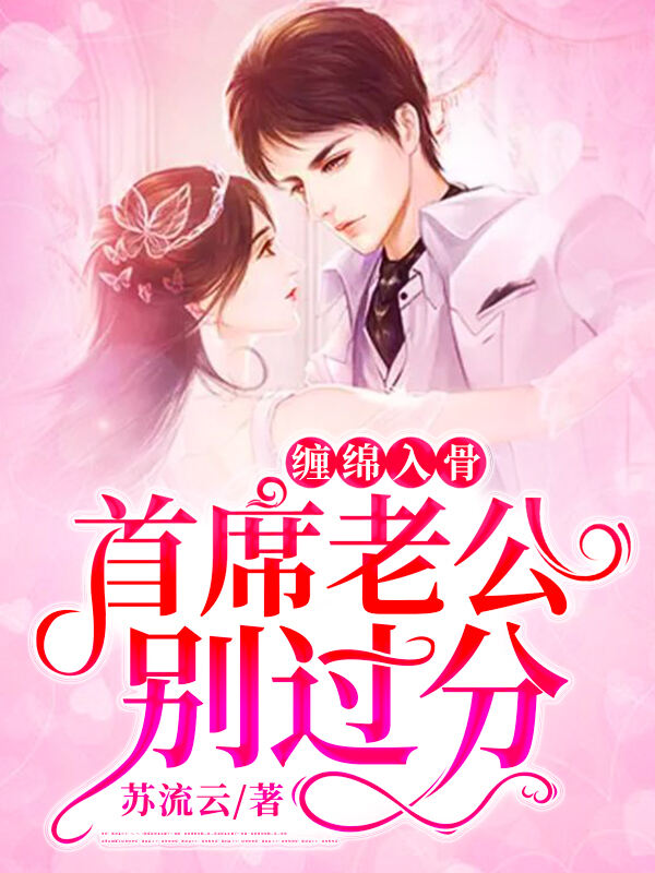 缠绵入骨，首席老公别过分小说阅读