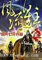 夜七雪枫小说阅读