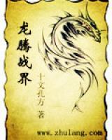 龙腾金韵小说阅读