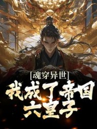 魂穿异世我成了帝国六皇子李枫小说阅读