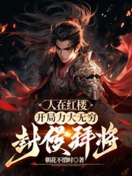 人在红楼,开局力大无穷封爵拜将小说阅读