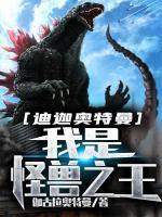 安修迪迦小说阅读