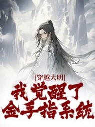 穿越大明:我觉醒了金手指系统小说阅读