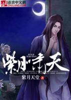 叶天金斧小说阅读