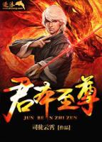 王峰李丽雅小说阅读