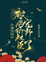 宋子衿青青小说阅读