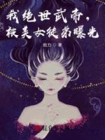 凌辰楚曦月小说阅读