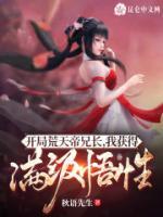 石渊月婵小说阅读