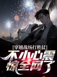 穿越战场打胜仗,不小心震惊全网了阅读小说阅读