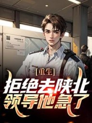重生拒绝去陕北领导他急了小说阅读