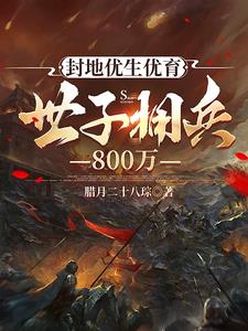 封地优生优育，世子拥兵800万阅读小说阅读