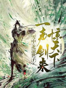 雪中：北凉世子，一声剑来惊天下阅读小说阅读