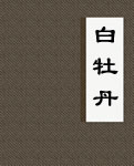 白牡丹小说阅读