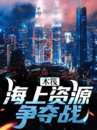 木筏：海上资源争夺战小说阅读