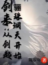 剑来从剑起骊珠洞天开始陈平安