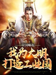 帝国崛起我为大明打造工业国张天赐小说阅读