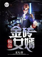林四万唐晓棠小说阅读