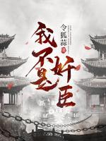 李焕林赓小说阅读