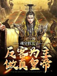魂穿假太子反客为主做真皇帝陈锐小说阅读