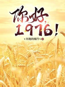 你好1976阅读小说阅读