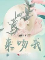 祝野丁费思小说阅读