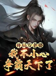 开局发老婆我不小心争霸天下了萧黎小说阅读