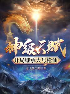 神级天赋，开局继承大号枪仙小说阅读