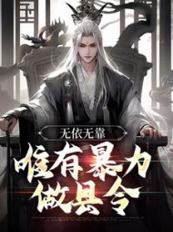 无依无靠唯有暴力做县令陆译小说阅读