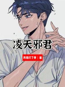 凌天邪君阅读小说阅读