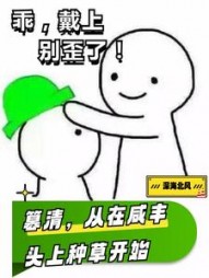 快穿:开局与慈禧同榻小说阅读