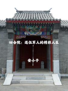 四合院:退伍军人的精彩人生小说阅读