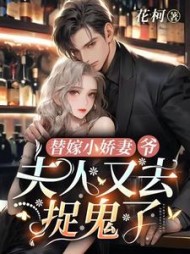 替嫁小娇妻：爷，夫人又去捉鬼了阅读小说阅读