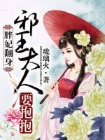 宁挽歌风陌寒小说阅读