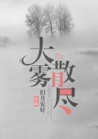 江月张柳岭小说阅读