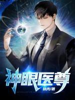 邓元王语嫣小说阅读