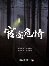官途危情小说阅读
