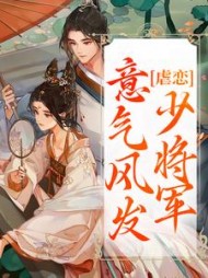 虐恋意气风发少将军