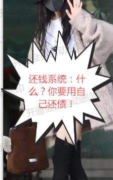 还钱系统什么你要用自己还债(洪力)