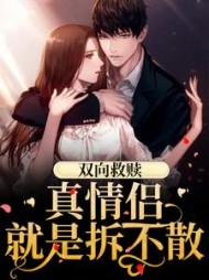双向救赎真情侣就是拆不散陆婉萧远阅读