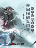 郑安清荷小说阅读