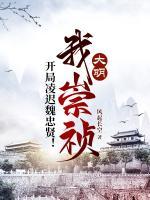 朱由检阎嫚儿