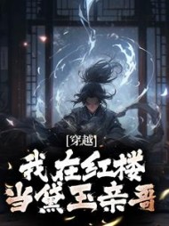 穿越：我在红楼当黛玉亲哥林渊