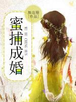 顾小念陆辰爵