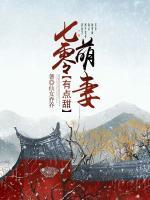 江泱泱陆云苍小说阅读