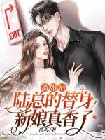 顾向晚陆辰烨小说阅读