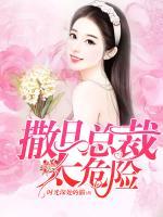 林徽音徐森小说阅读