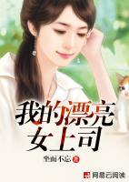 我的漂亮女上司小说阅读