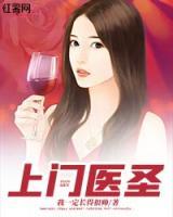 上门医圣小说阅读