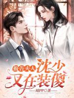 报告夫人：沈少又在装傻小说阅读